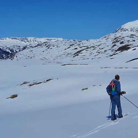 LusterMolden 2-Fjellutsikt Og Jacuzzi Tilgang.アパートメント エクステリア 写真