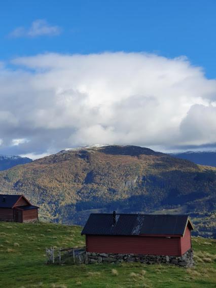 LusterMolden 2-Fjellutsikt Og Jacuzzi Tilgang.アパートメント エクステリア 写真